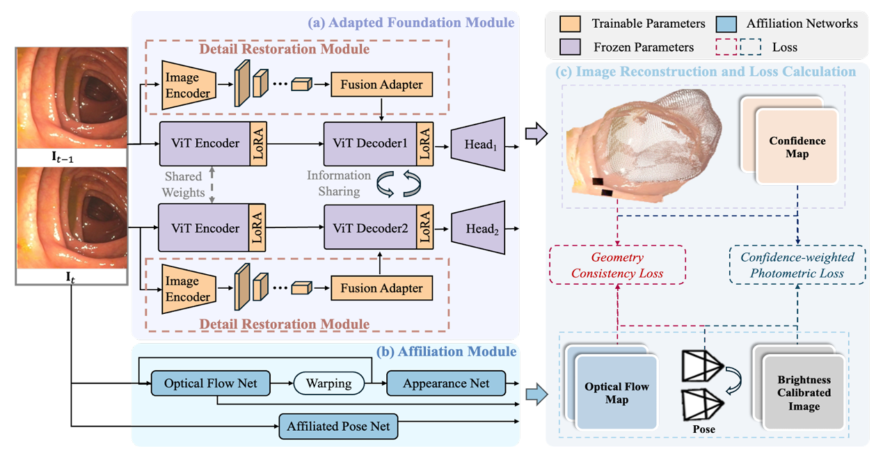 ColonAdapter: Geometry Estimation Through Foundation Model Adaptation for Colonoscopy